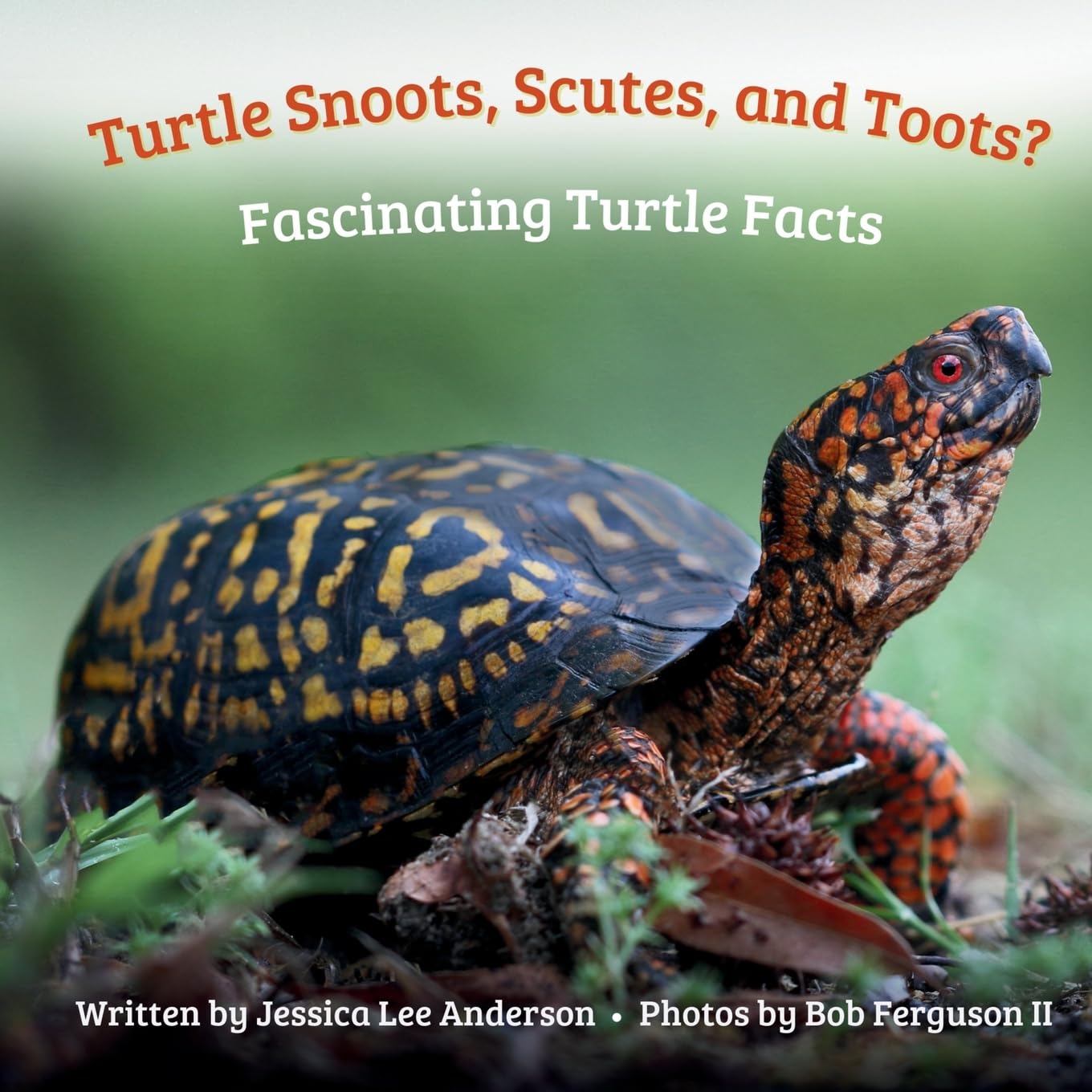 Turtle Snoots, Scutes, and Toots?: Fascinating Turtle Facts (Fascinature Books for Young Readers)
