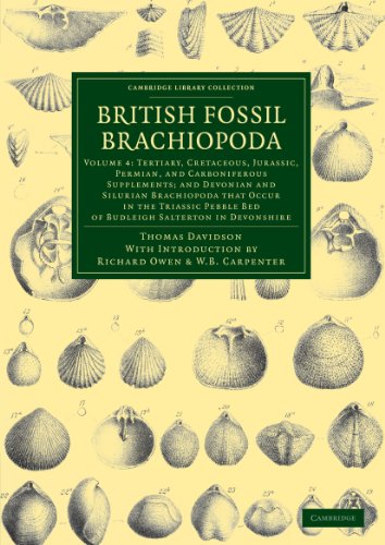 British Fossil Brachiopoda 6 Volume Set: British Fossil Brachiopoda (Cambridge Library Collection - Earth Science)