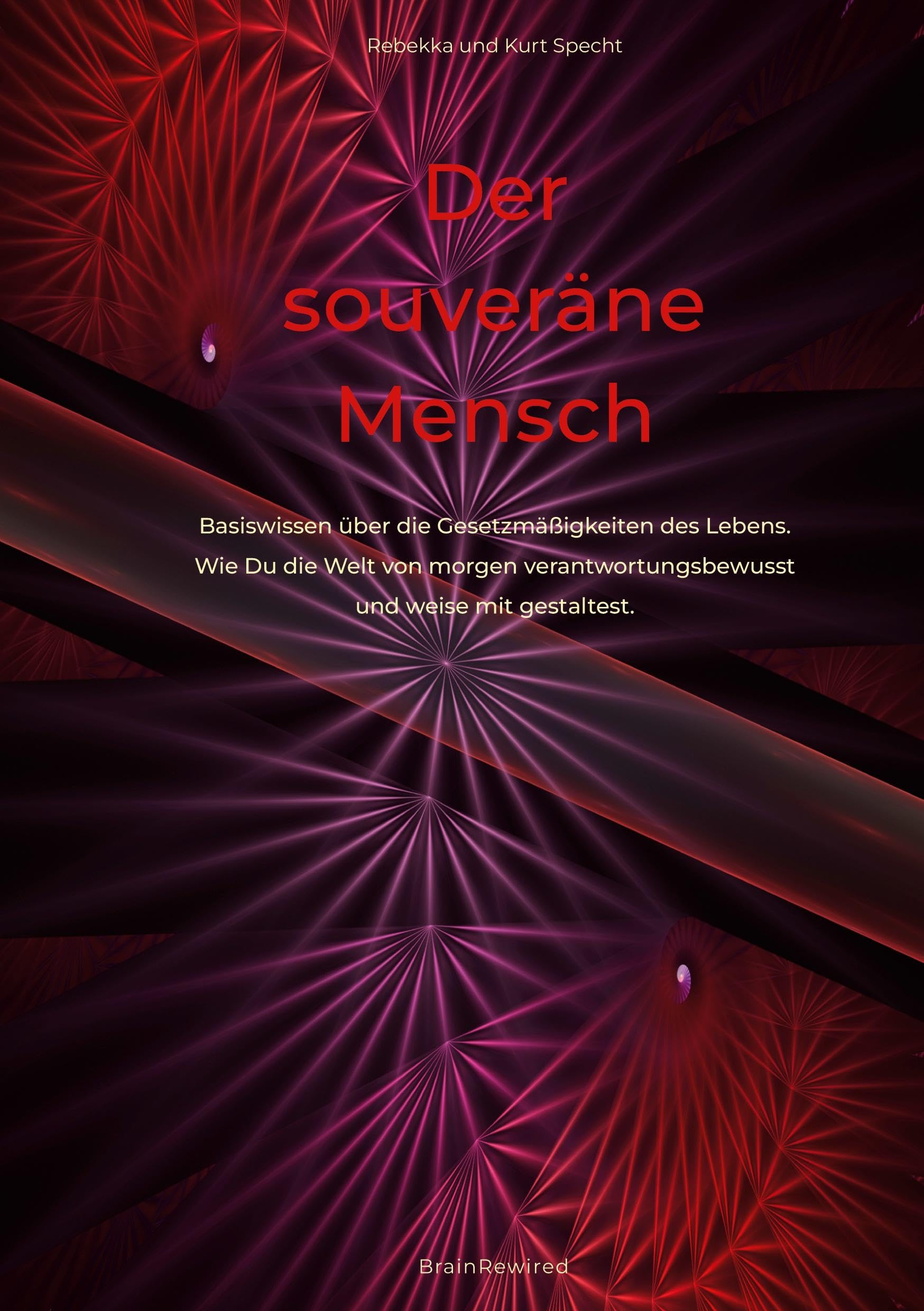 Der souveräne Mensch: Basiswissen über die Gesetzmäßigkeiten des Lebens. Wie Du die Welt von morgen verantwortungsbewusst und weise mit gestaltest.: ... und weise mit gestaltest.