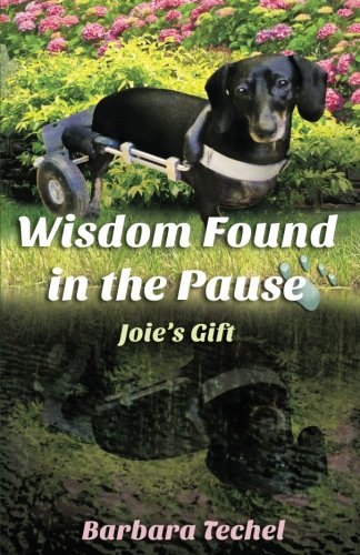 Wisdom Found in the Pause: Joie's Gift
