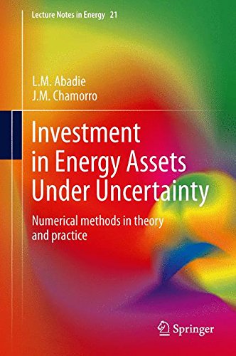 Investment in Energy Assets Under Uncertainty: Numerical methods in theory and practice (Lecture Notes in Energy)