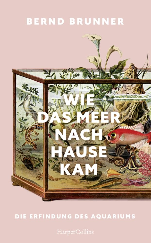 Wie das Meer nach Hause kam. Die Erfindung des Aquariums: AKTUALISIERTE NEUAUSGABE des Kulturgeschichts-Klassikers | Mit über 100 Abbildungen | TikTok-Trend Aquaristik | Süß- und Meerwasserfische