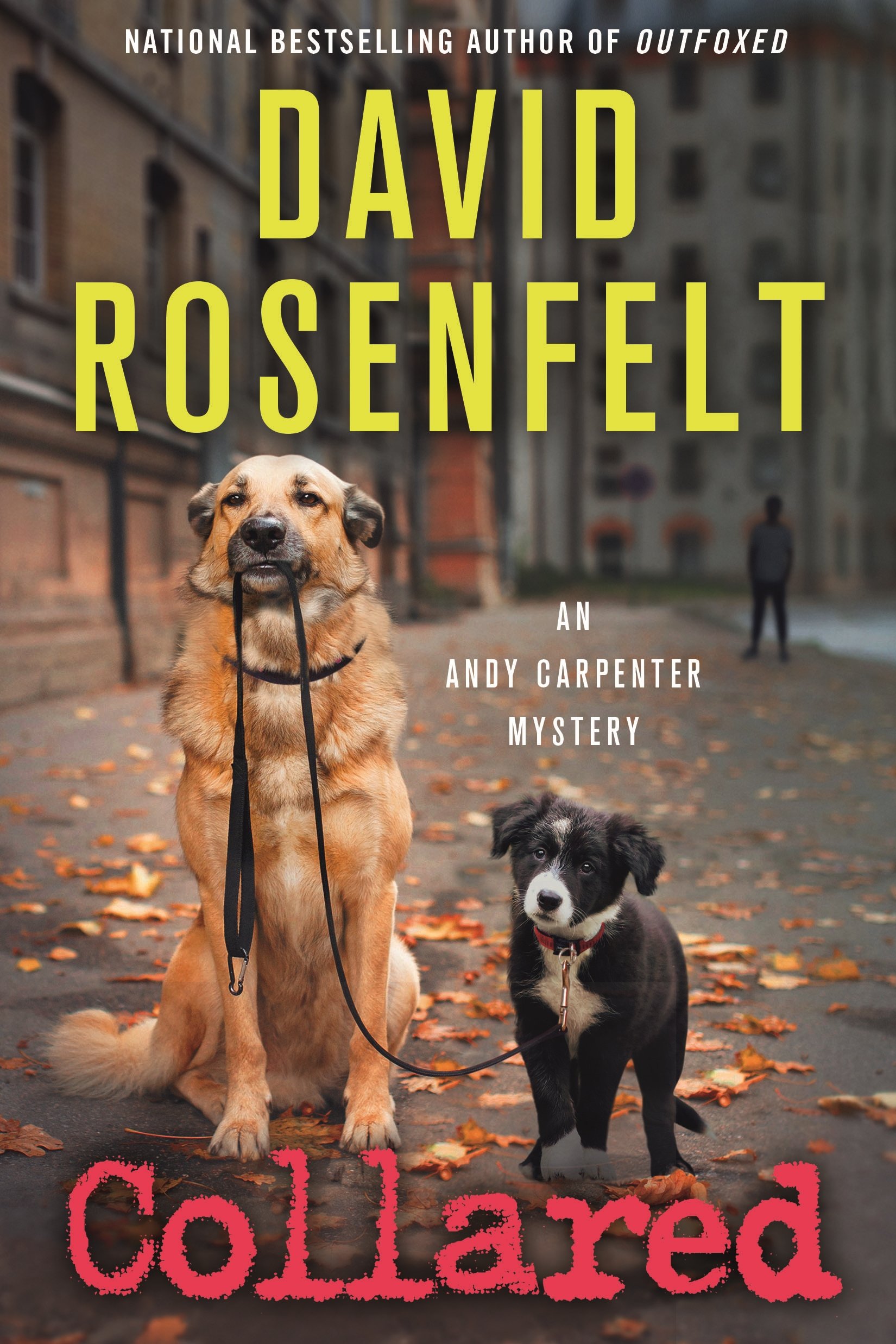 Collared: An Andy Carpenter Mystery (Andy Carpenter, 14, Band 14)