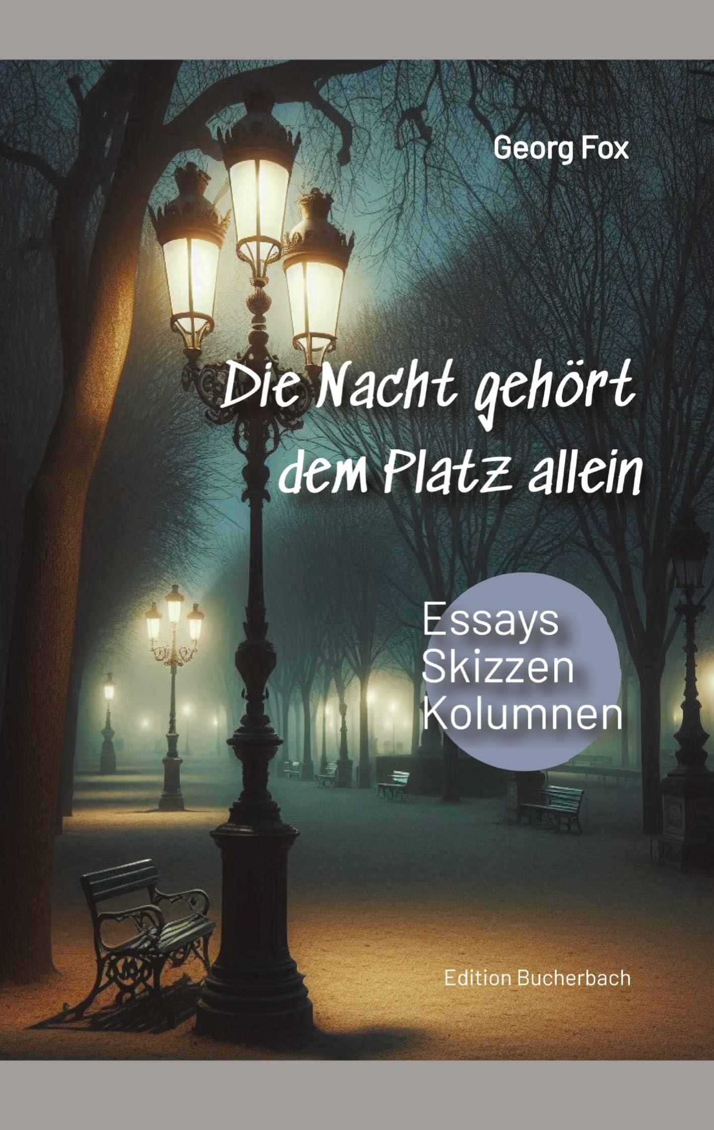 Die Nacht gehört dem Platz allein: Essays, Skizzen, Kolumnen