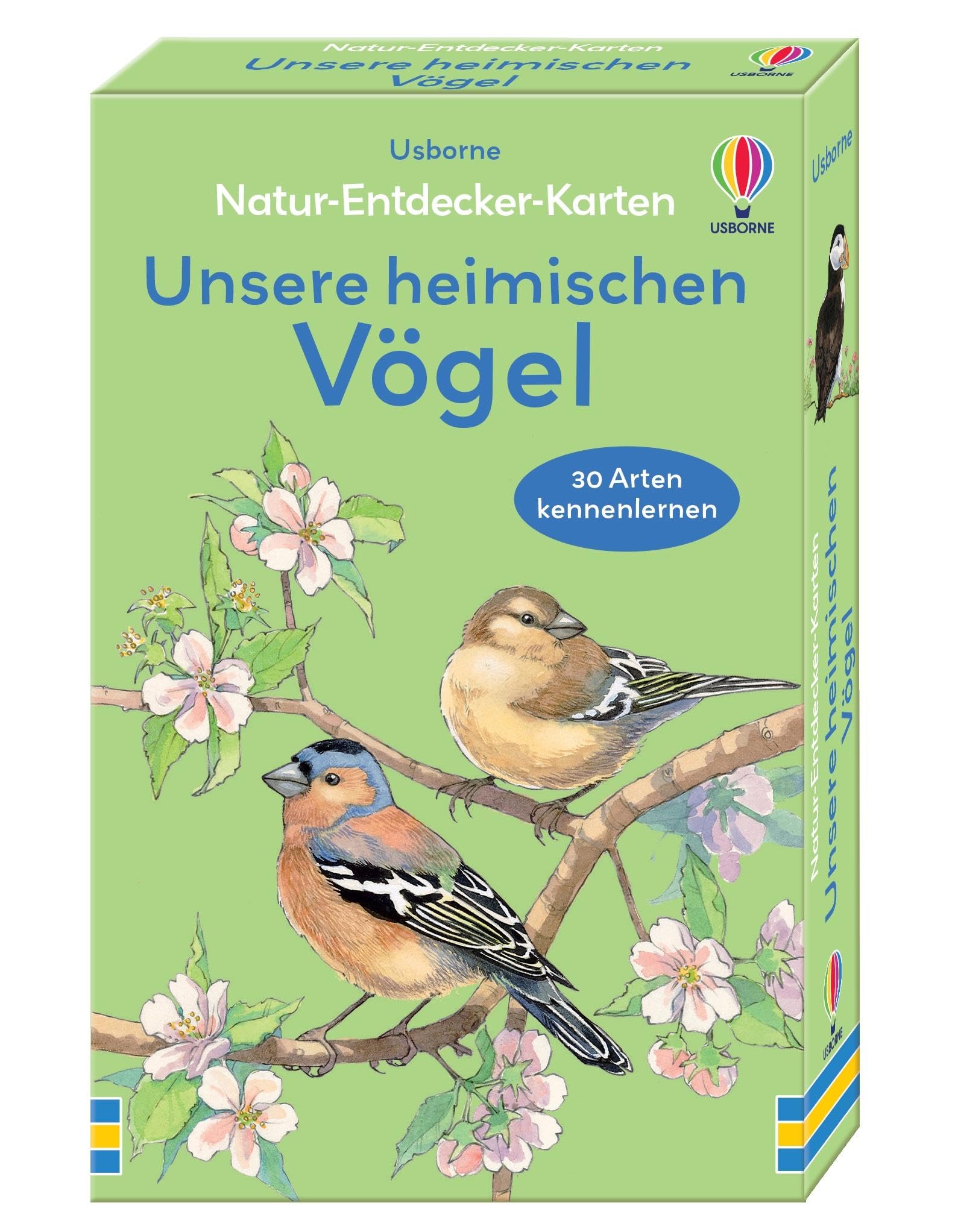 Natur-Entdecker-Karten: Unsere heimischen Vögel: Box mit 30 Karten, die heimische Vogelarten zeigen und vorstellen – für Kinder ab 6 Jahren