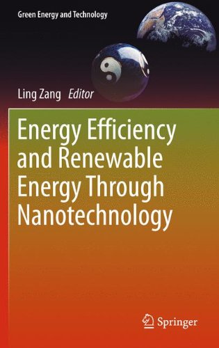 Energy Efficiency and Renewable Energy Through Nanotechnology (Green Energy and Technology)