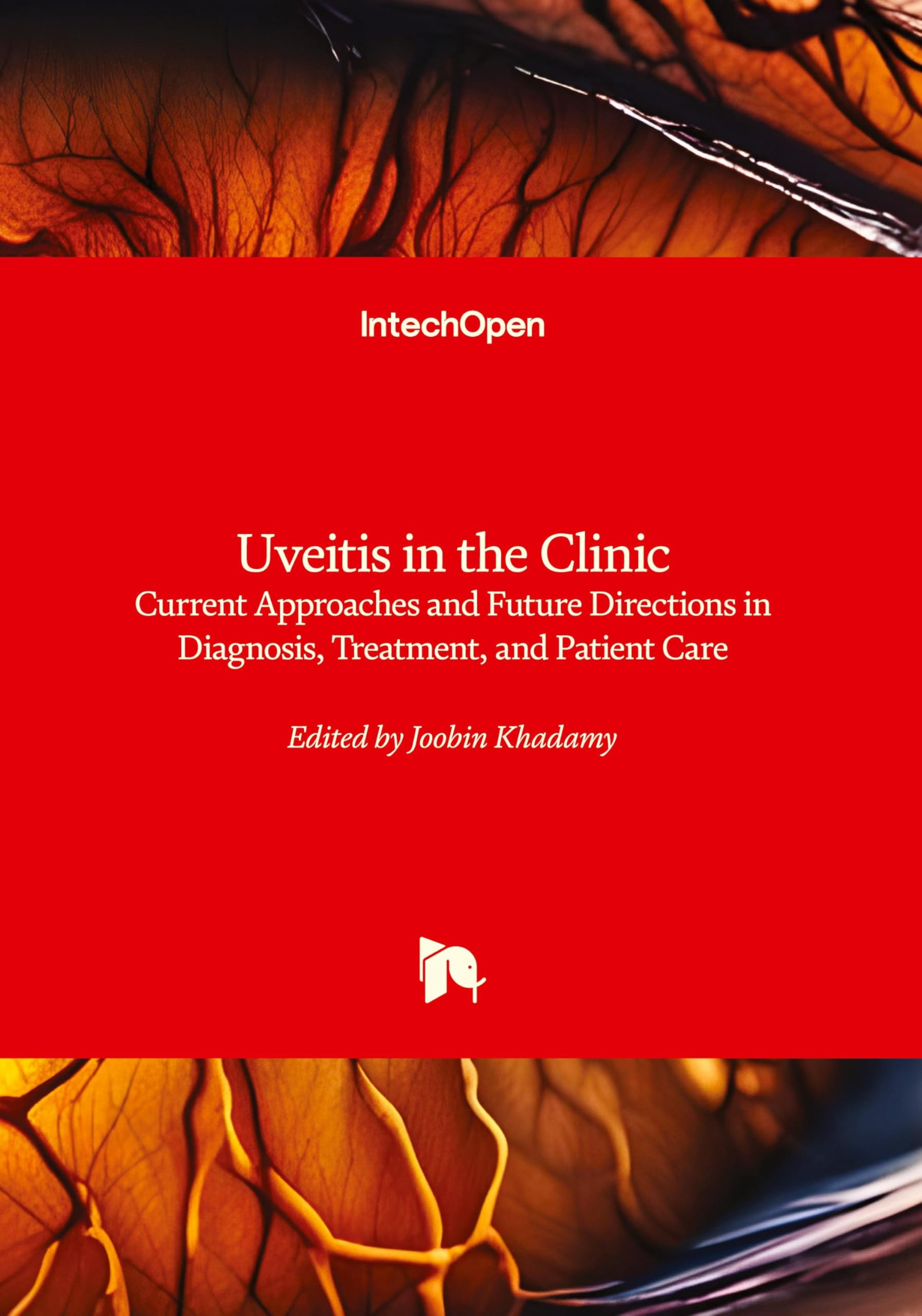 Uveitis in the Clinic - Current Approaches and Future Directions in Diagnosis, Treatment, and Patient Care: Current Approaches and Future Directions in Diagnosis, Treatment, and Patient Care