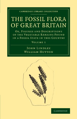 The Fossil Flora of Great Britain 3 Volume Set: The Fossil Flora of Great Britain: Or, Figures and Descriptions of the Vegetable Remains Found in a ... Library Collection - Earth Science)