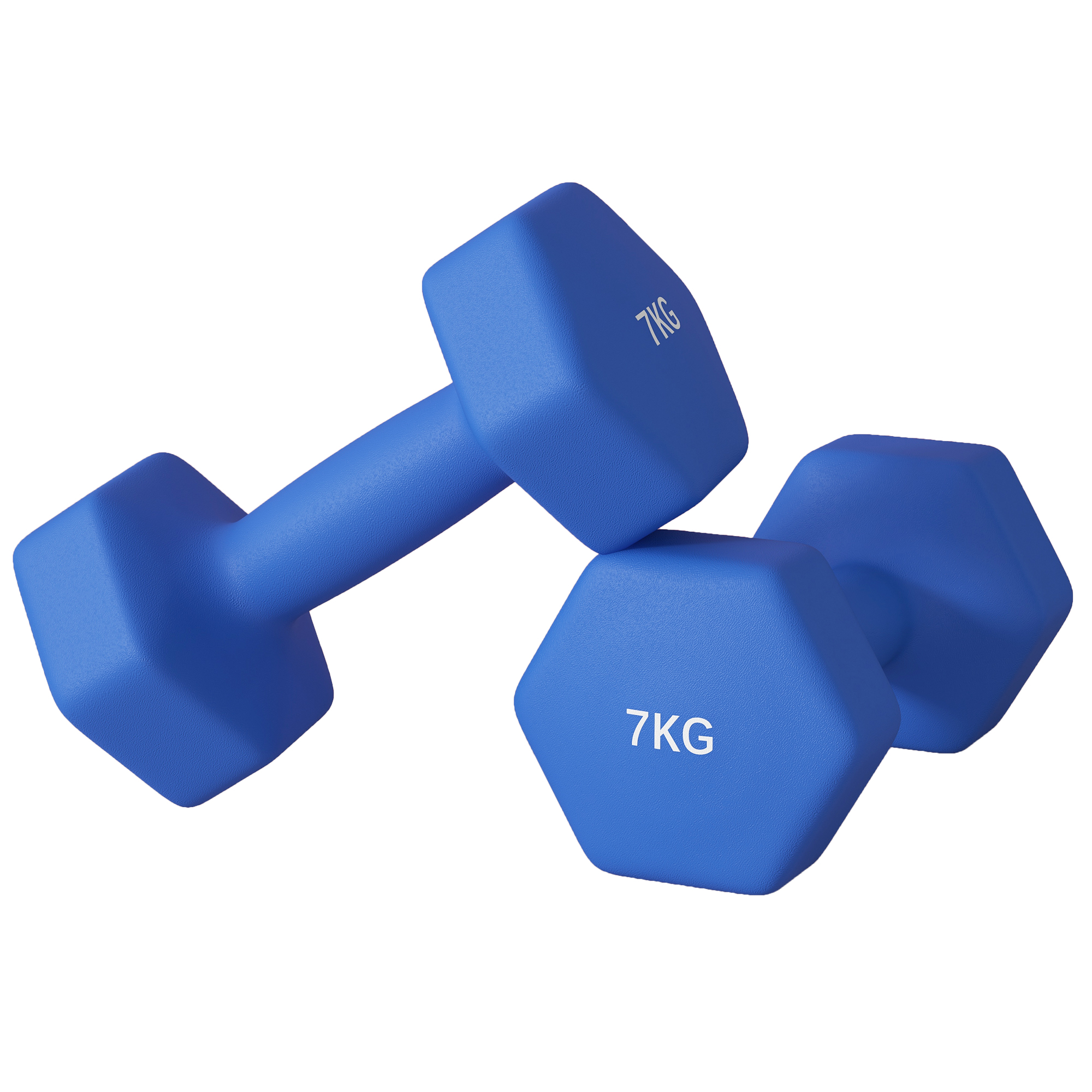 SPORTNOW Set 2 Hexagonale rutschfeste Hanteln 2x7 kg für Training, Metall und Kunststoff, 22,5x10,5x10,5 cm, Blau   Aosom