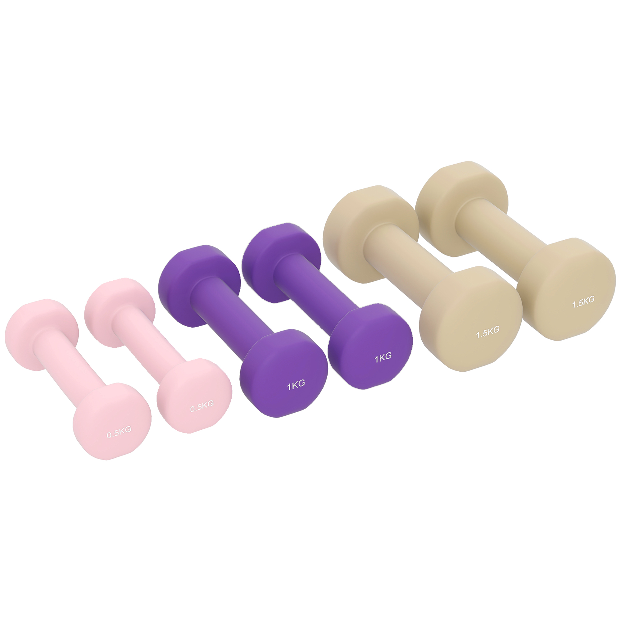 HOMCOM Hantelset 6er Set Hanteln mit Koffer, Gewichten, Kurzhantelset verstellbar 0,5kg, 1kg, 1,5kg Kurzhanteln für Männer Frauen, Dumbbell Set für Zuhause, Fitnessstudio, Krafttraining   Aosom