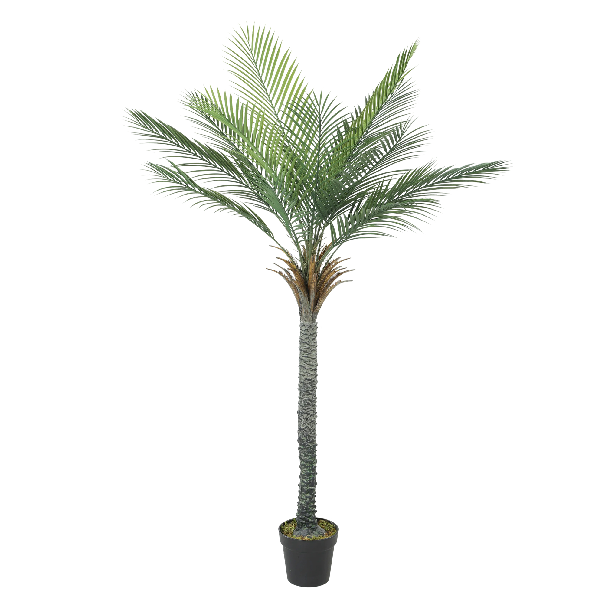 HOMCOM Künstliche Palme 180 cm, tropische Topfpflanze, 15 realistische Blätter, künstliche Grünpflanze zur Wohnraumdekoration für Wohnzimmer, Schlafzimmer, Büro Aosom