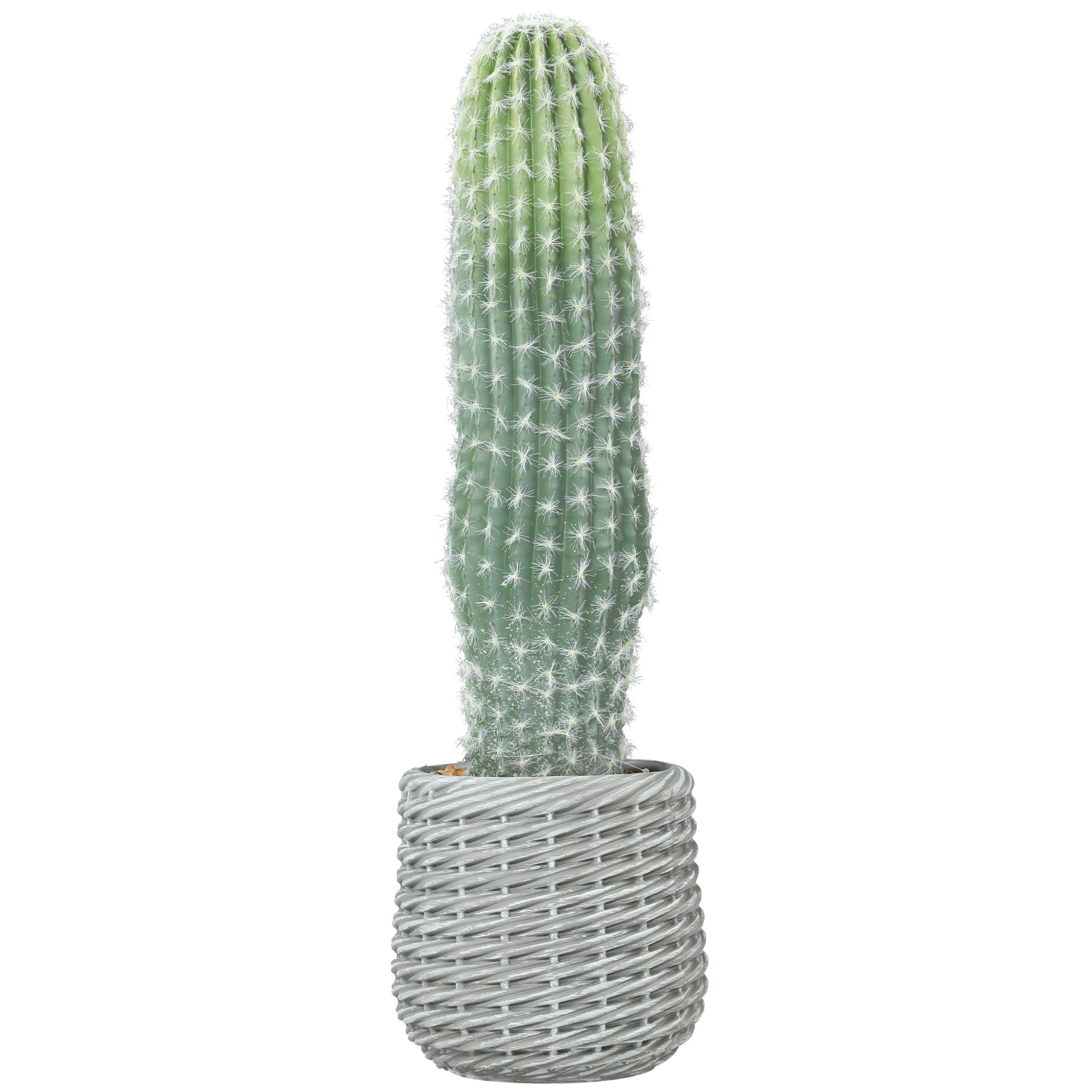 HOMCOM Künstlicher Kaktus 66 cm, dekorative Kunstpflanze mit Topf für Innendekoration, Zuhause, Büro, Wohnzimmer, Grün Aosom