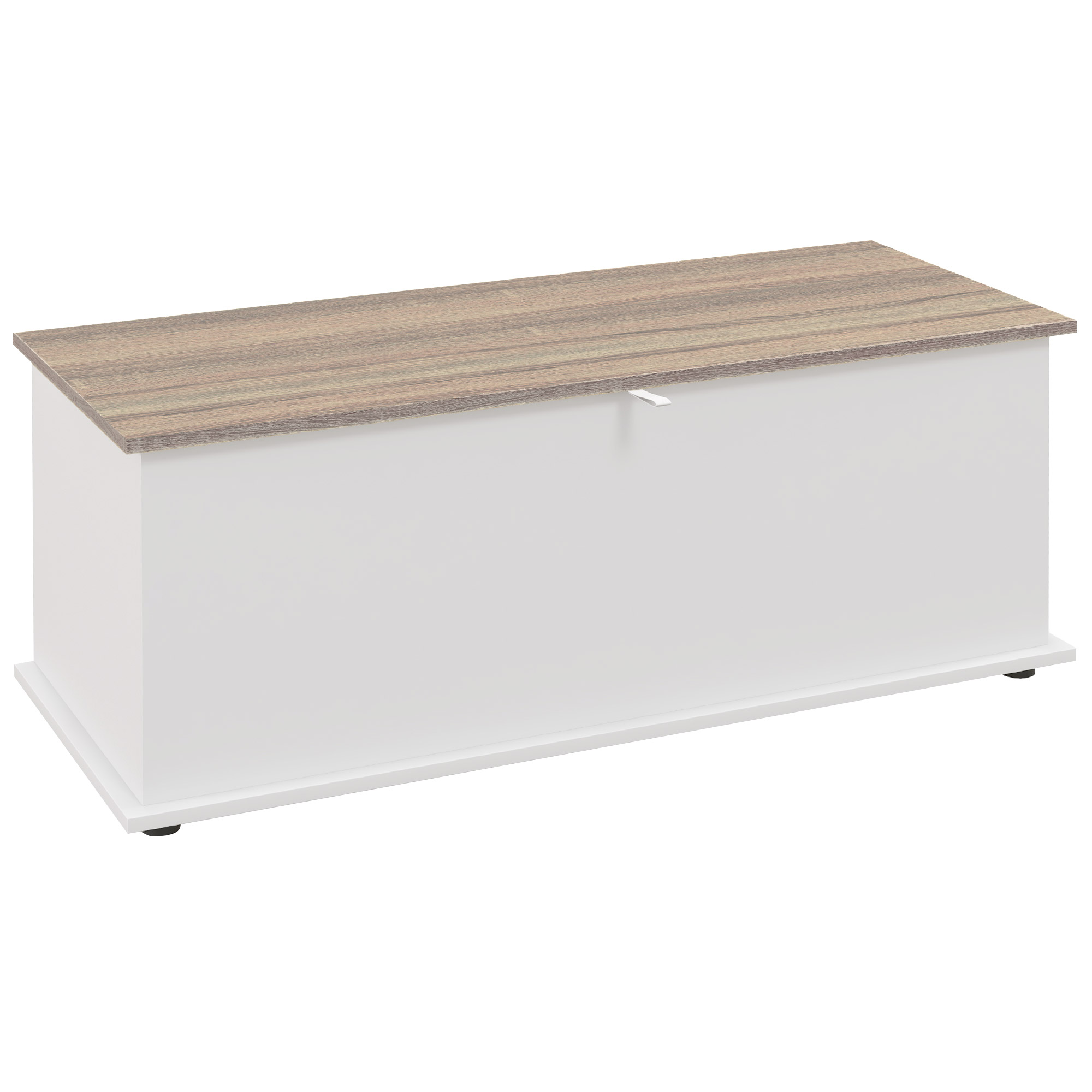 HOMCOM Aufbewahrungsbank 113 L mit Klappdeckel, Truhe für Wohn- & Eingangsbereich, Sitzbank, Weiß und Holzoptik Aosom