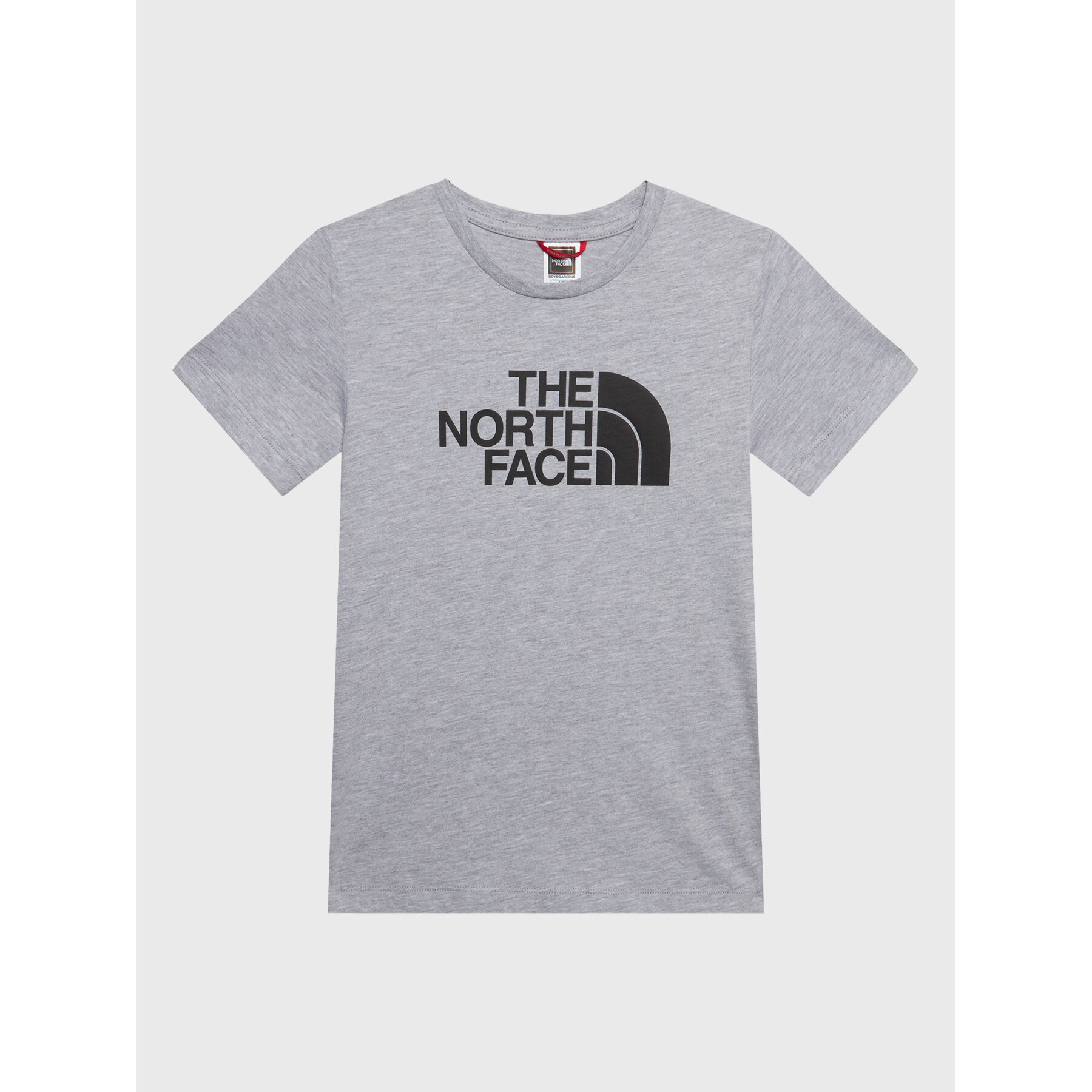 The North Face T-Shirt Easy NF0A82GH Grau Regular Fit