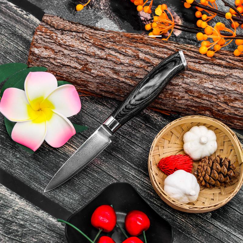 Obstmesser aus 67 Lagen Damaststahl, Küchenmesser, Schälmesser