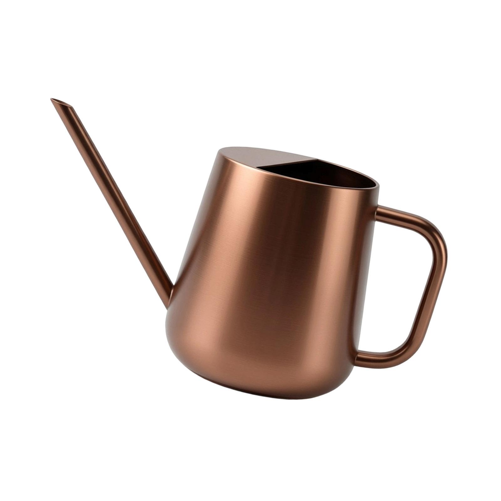 1000ml Gießkanne für Pflanzen im Freien mit langem Ausguss Edelstahl Große Gießkanne für Gartenblumen Pflanzen bronze