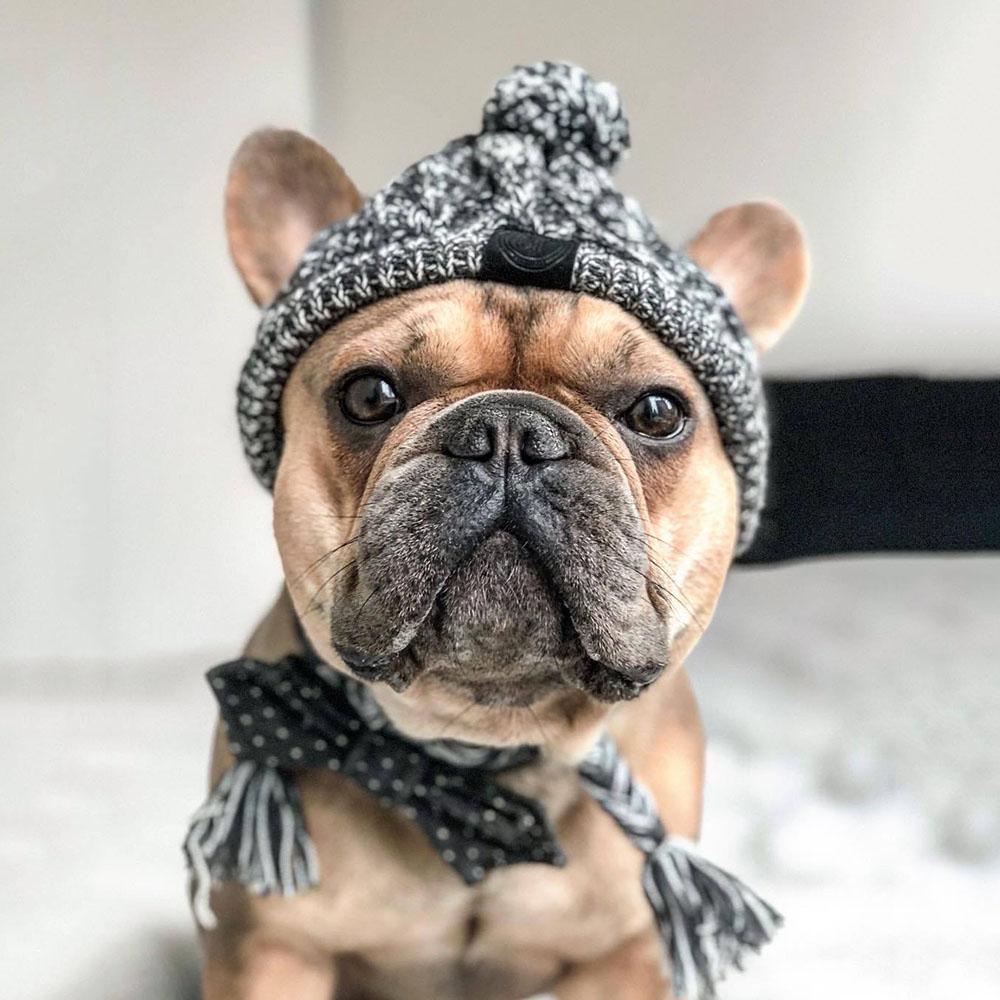 Winter Haustier Katze Hund Hut Mütze Weihnachten Warm Winddicht Haustierhüte Wollene Hundezubehör Für Kleine Mittelgroße Hunde Outdoor Bulldoggenmützen L 53-61cm