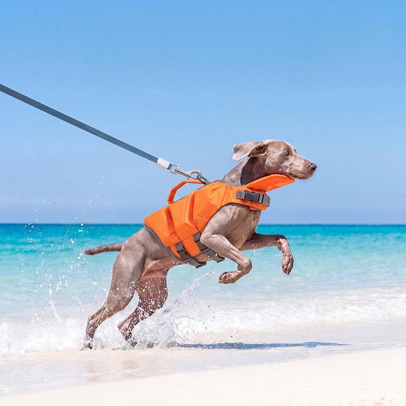 Hund Schwimmweste Schwimmen Starke Auftriebskraft Haustier Badeanzug Sommer Sicherheit Schwimmweste Für Dackel Chihuahua Teddy Außenpool Kleidung (Orange,M) orange