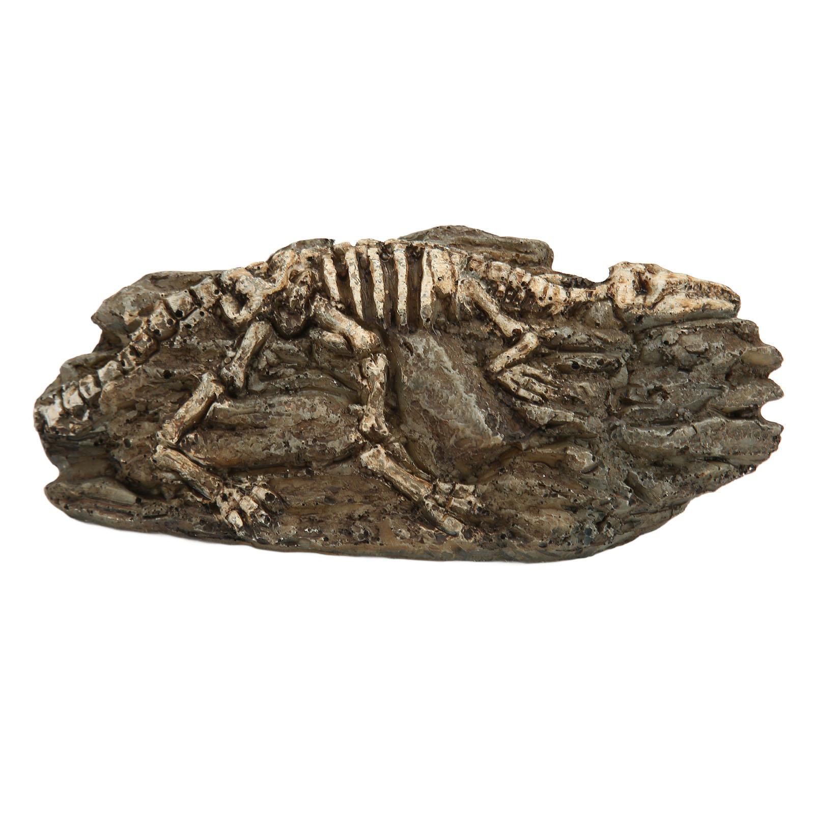Dinosaurier Fossil Aquarium Dekoration Harz Reptilien Ornament Aquarium Tier Handwerk für Aquarium