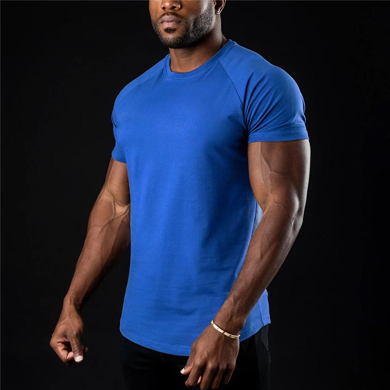 Einfaches Fitnessstudio-T-Shirt Herren Sommer Fitnessbekleidung O-Ausschnitt Kurzarm T-Shirt Baumwolle Slim Fit T-Shirt Bodybuilding Workout T-Shirts Oberteile 3XL blau