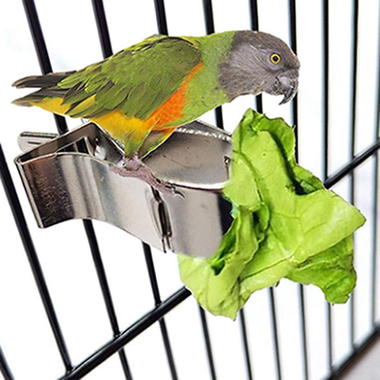 Papageien-Durable-Obst- und Gemüse-Clip-Feeder-Vogelkäfig-Zubehör silber