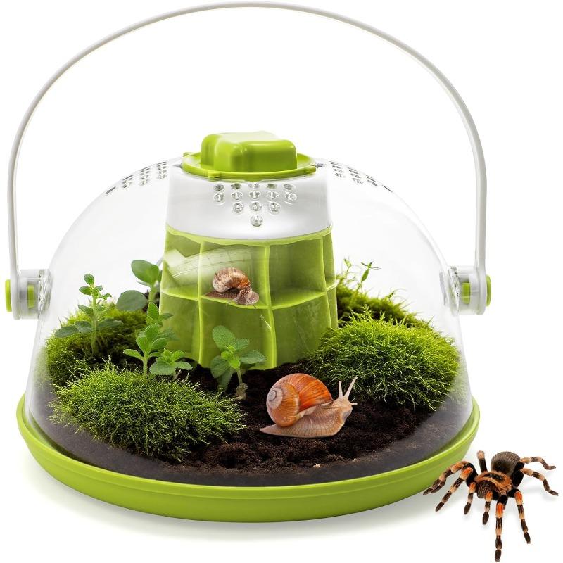 Schnecken-Terrarium Zuchtbox, Runde Kunststoff-Schneckenbehausung, Transparente Futterbox mit Belüftungslöchern & Abnehmbarem Boden, Kleine Insektenfutterbox für Käfer grün
