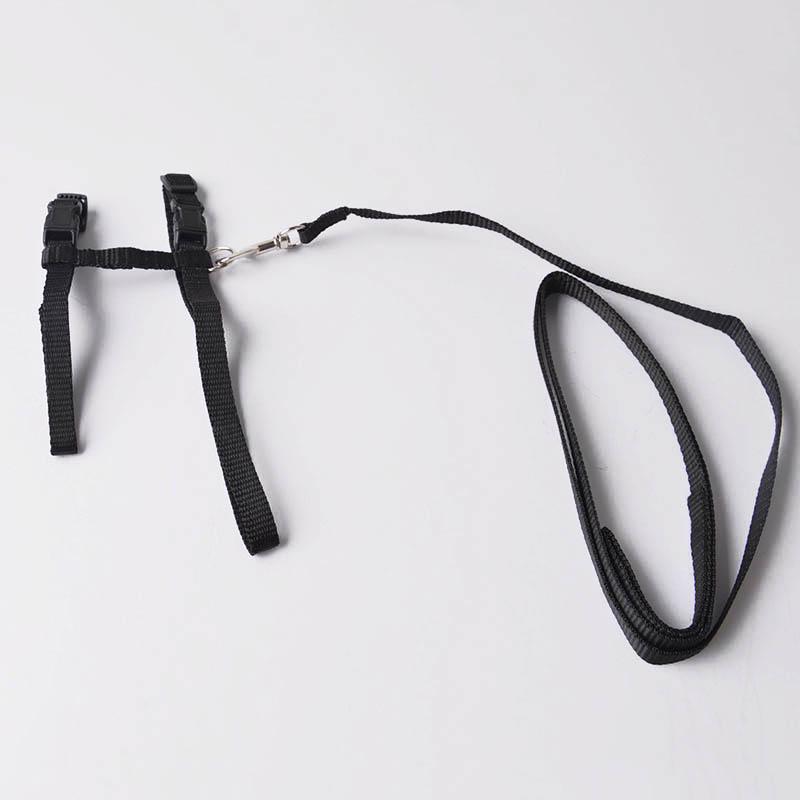 Verstellbarer Haustier-Traktionsgürtel, Katzenhalter, kleines Haustier-Hundegeschirr und Leine-Halsband schwarz