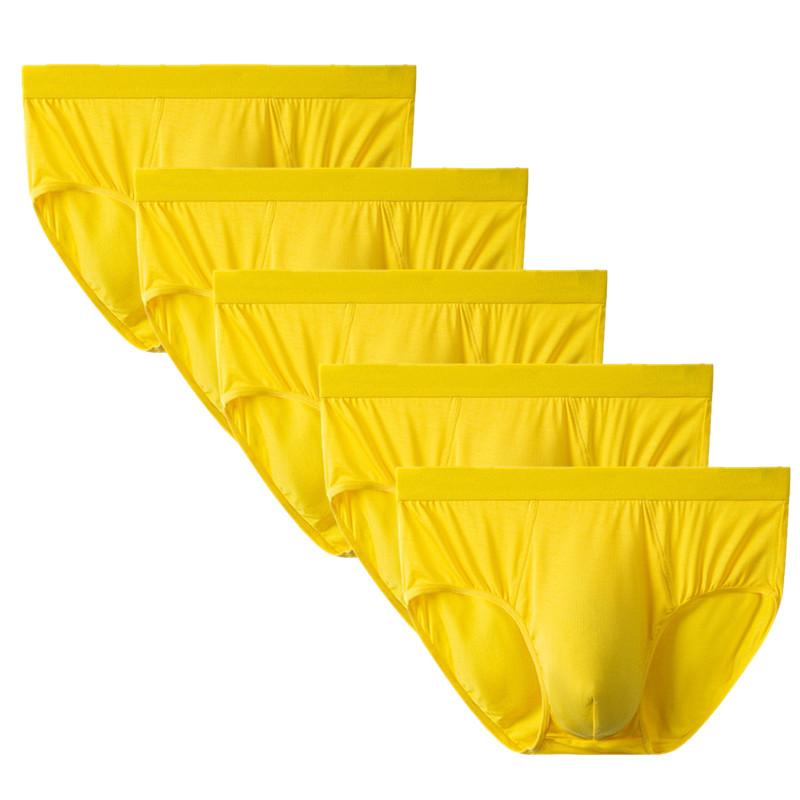 5 STÜCK Herren Slips Unterwäsche Atmungsaktive Slips Unterhosen Mittelhoch geschnittene Slips L XL 2XL 3XL 4XL XXL