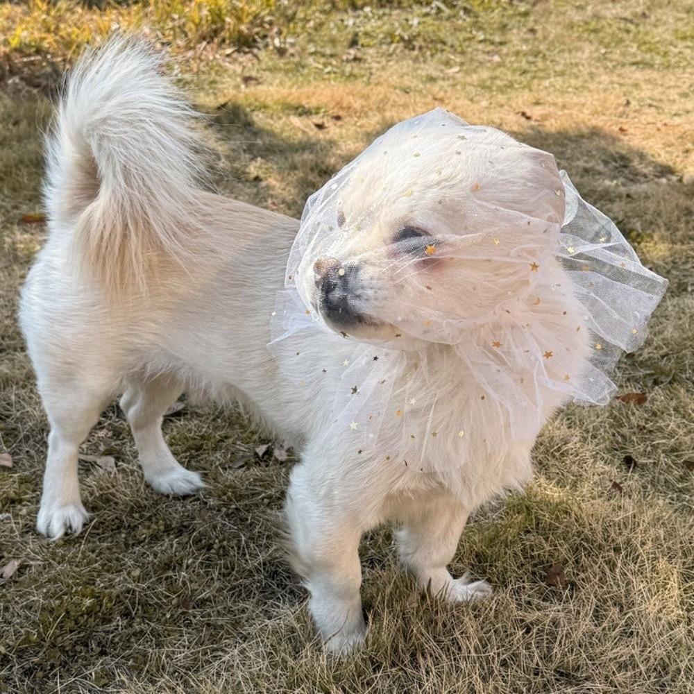 Atmungsaktiver Hund-Anti-Fressen-Schleier Komfort Verstellbar Haustier-Schutzmaske Elastisches Polyester Anti-Kauen Maulkorb Verhaltenssteuerung