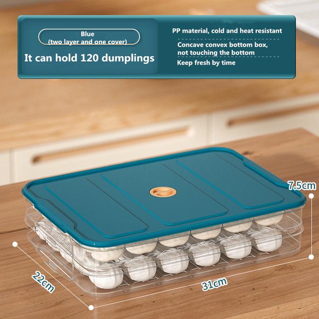 Multilayer Knödel Box Haushalt Lebensmittel Ei Gefrorene Box Wonton Frische-Halten Organisatoren Schnell Einfrieren Kühlschrank Lagerung Box 2 layer blau