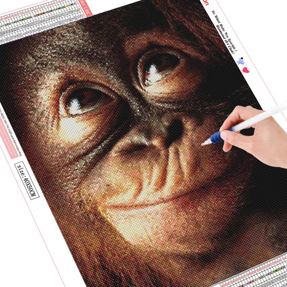 Diamant Stickerei Malerei Affe 5d Diamant Mosaik Tier DIY Diamant Malerei 20X30