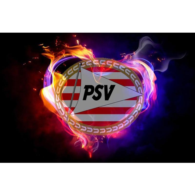 5D-Diamant-Gemälde voller Bohrer, handgefertigt, Vintage-Stil, Retter, Weltraumrennen, Kreuzstich, Diamant-Stickerei, Heimdekoration Full Square 20X30CM rose rot