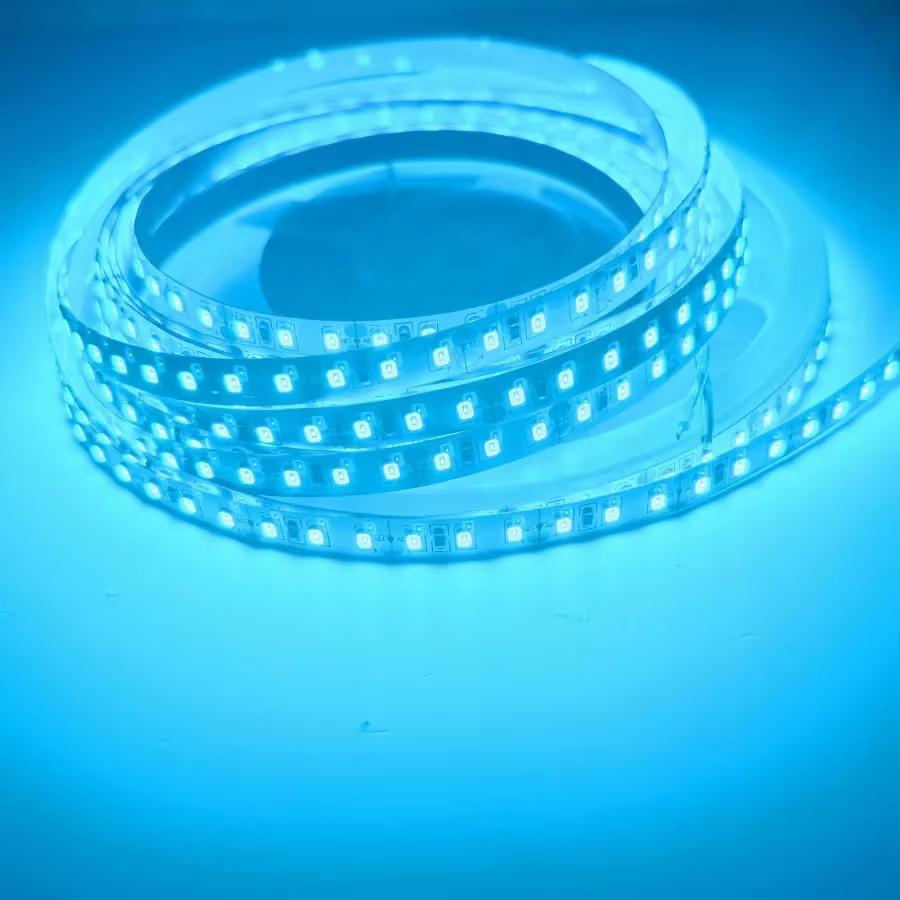 12V 24V 2835 Led Streifen Licht Diode Band 5m 10m 120LEDs/m Weiche Lampe Bar 8mm PCB Weiß/Warm Weiß/Blau/Rot/Rosa/Grün/ 24V 10M blizzard blaue