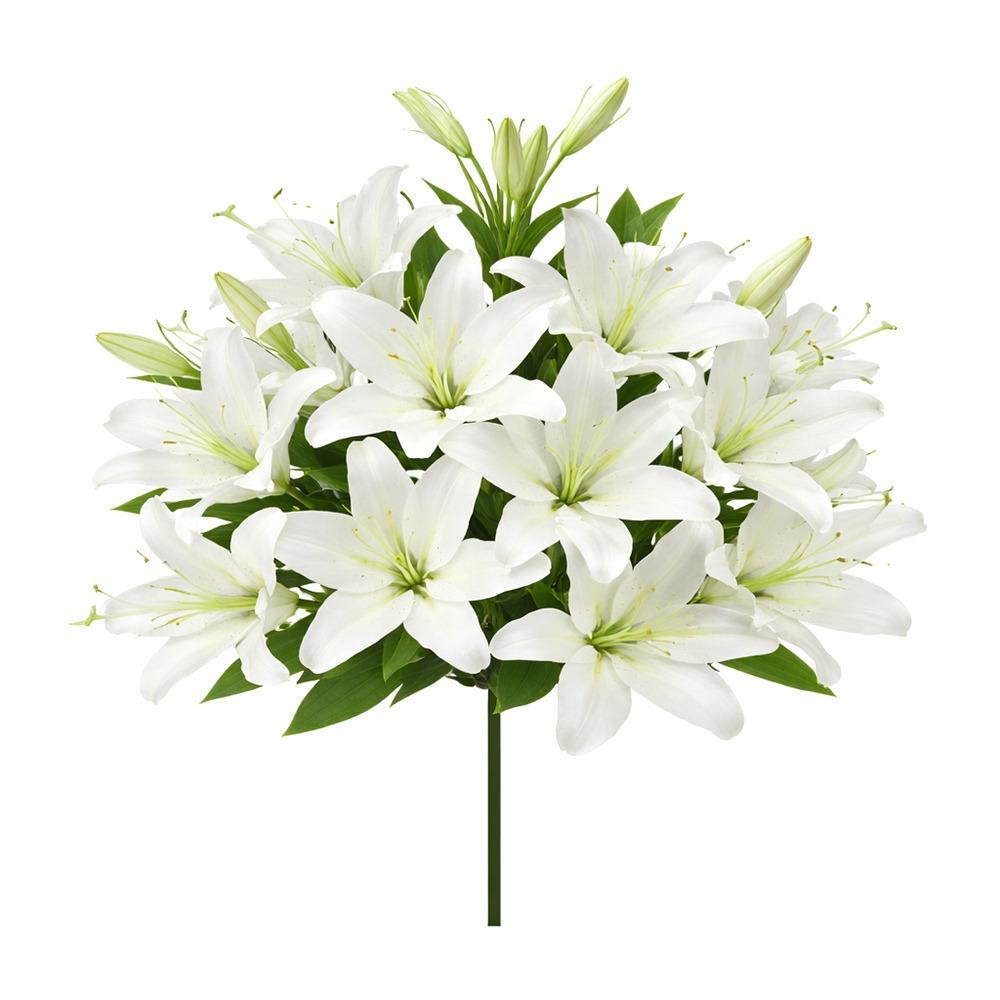 18 Köpfe Künstliche Lilien Blumengesteck DIY Blume Kunstblumen Mehrfarbig Realistische Simulationsblumen