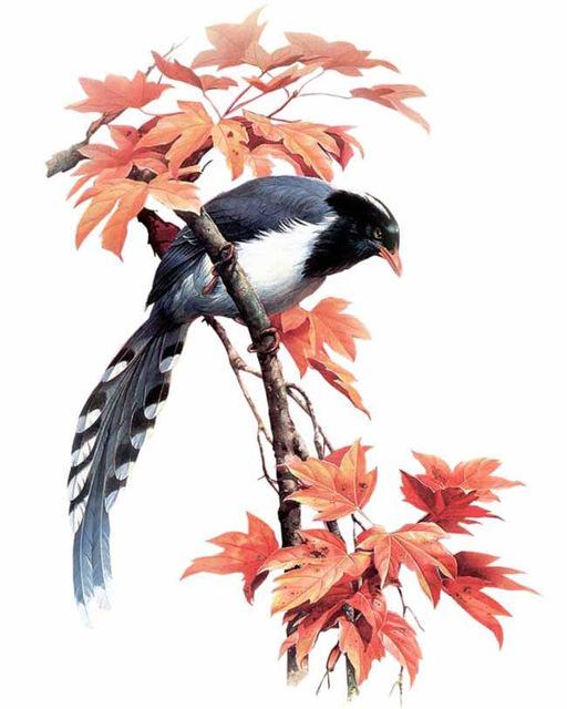 5d Diy Diamant Stickerei Cartoon Vogel Diamant Mosaik Dekorieren Broderies Diamant Malerei 20X30