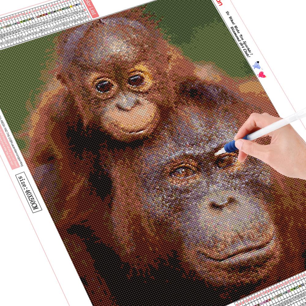Vollständige quadratische Diamant-Stickerei, Tier-Orang-Utans, Malerei, 5D-Diamant-Gemälde, Affe 40*50 cm