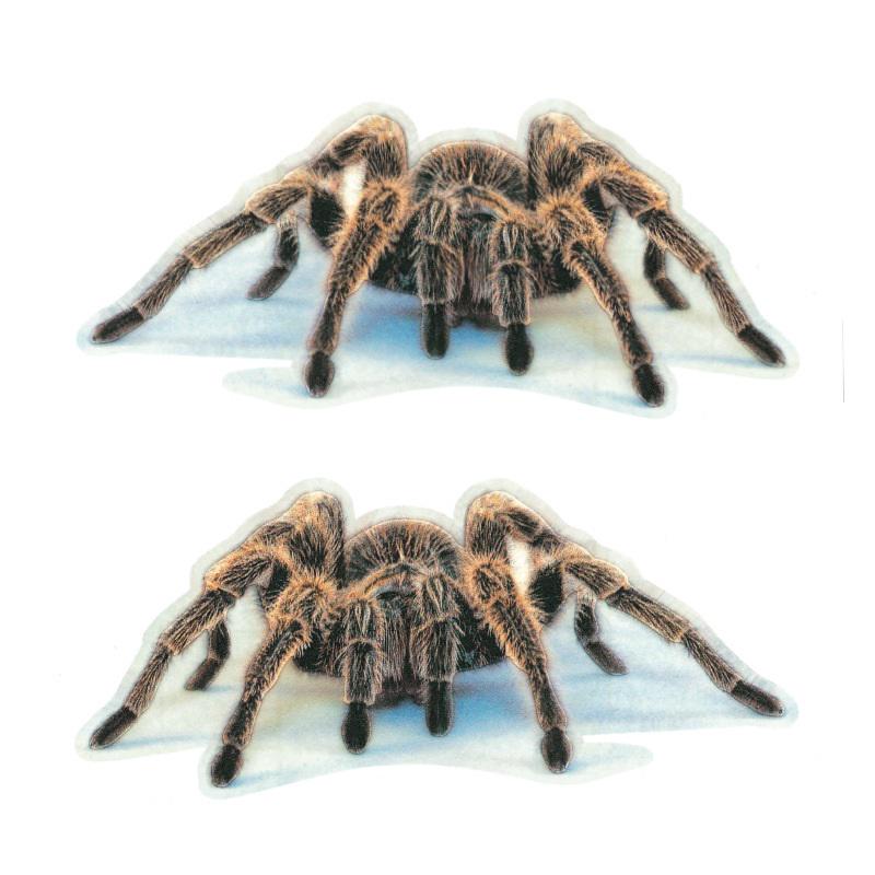 Styling Schön Cool Spinne 3D Autoaufkleber Cartoon Kreative Persönlichkeit Dekoration Aufkleber KTY B