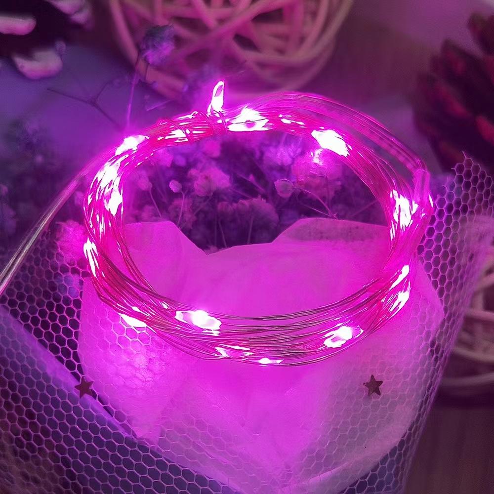 5M 10M LED USB Kupferdraht String Fairy Lichter Weihnachten Hochzeit Mini LED Lampen Led Strap Licht 5M 50leds【USB】 rosa
