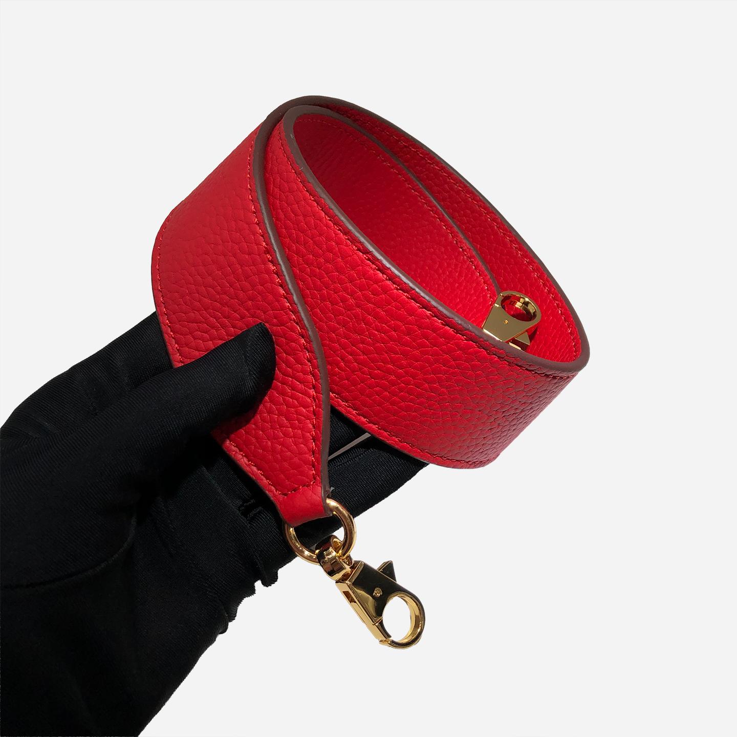 Echte Leder Schultergurte Taschen Riemen Ersatz für Handtaschen Zubehör Damen Taschen Luxus Designer Tasche Silver buckle