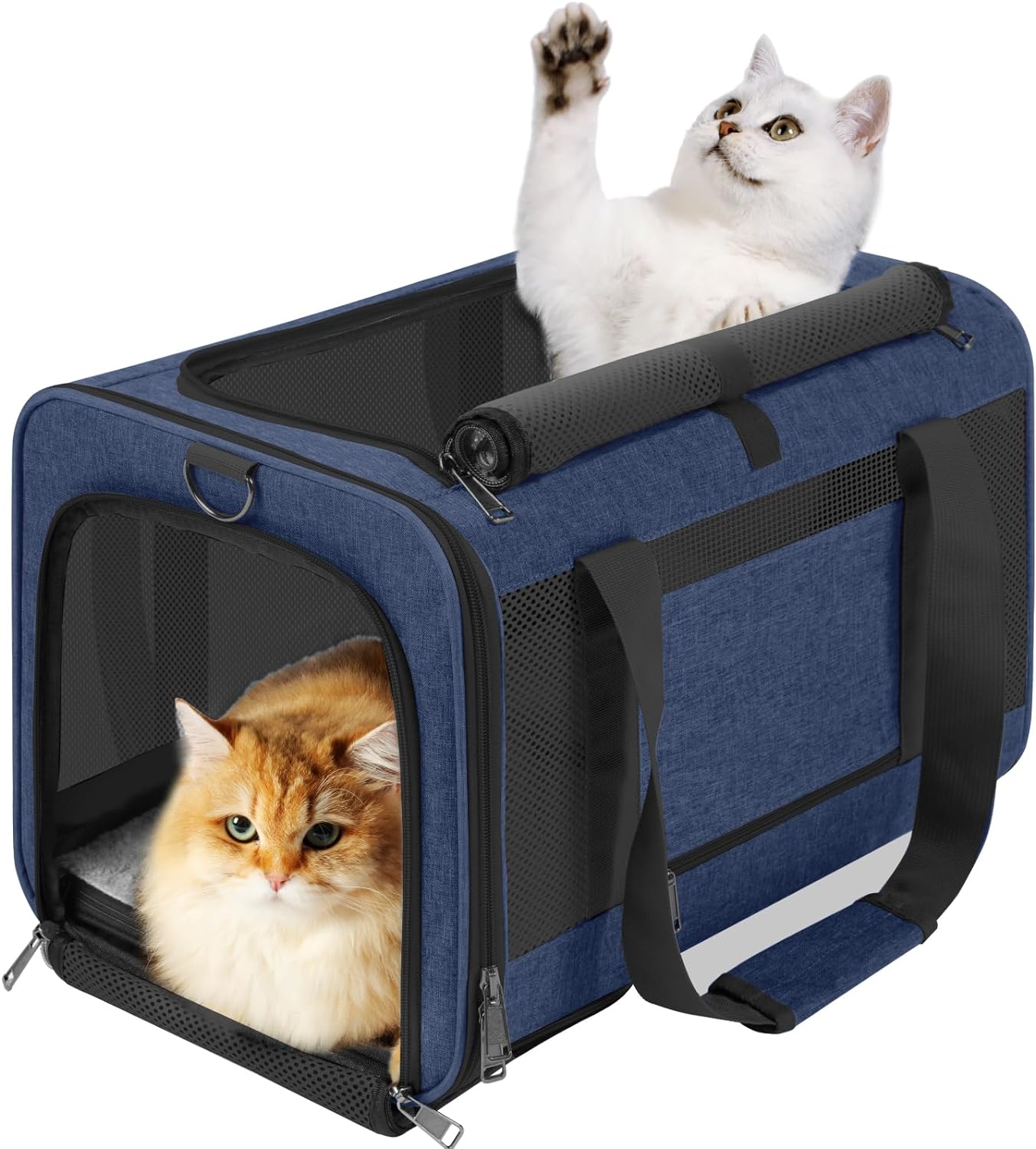 Haustier-Transportbox für große Katzen, weiche Seiten, kleine Hunde-Reisebox, Toplader/zusammenklappbare Tasche, Transportbox für 2 Kätzchen, lange Reisen
