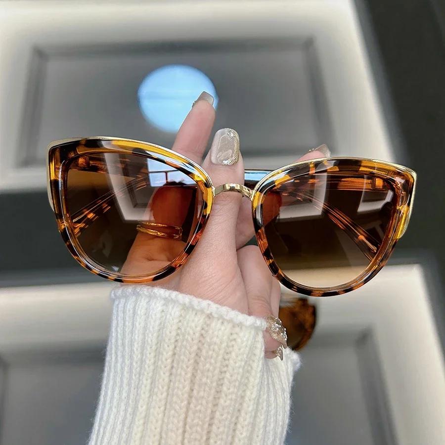Cat Eye Retro Sonnenbrille Damen Herren Designer Outdoor Retro Sonnenbrille Damen Herren Stylisch Spiegel Punk Sonnenbrille Oculos De Sol Other