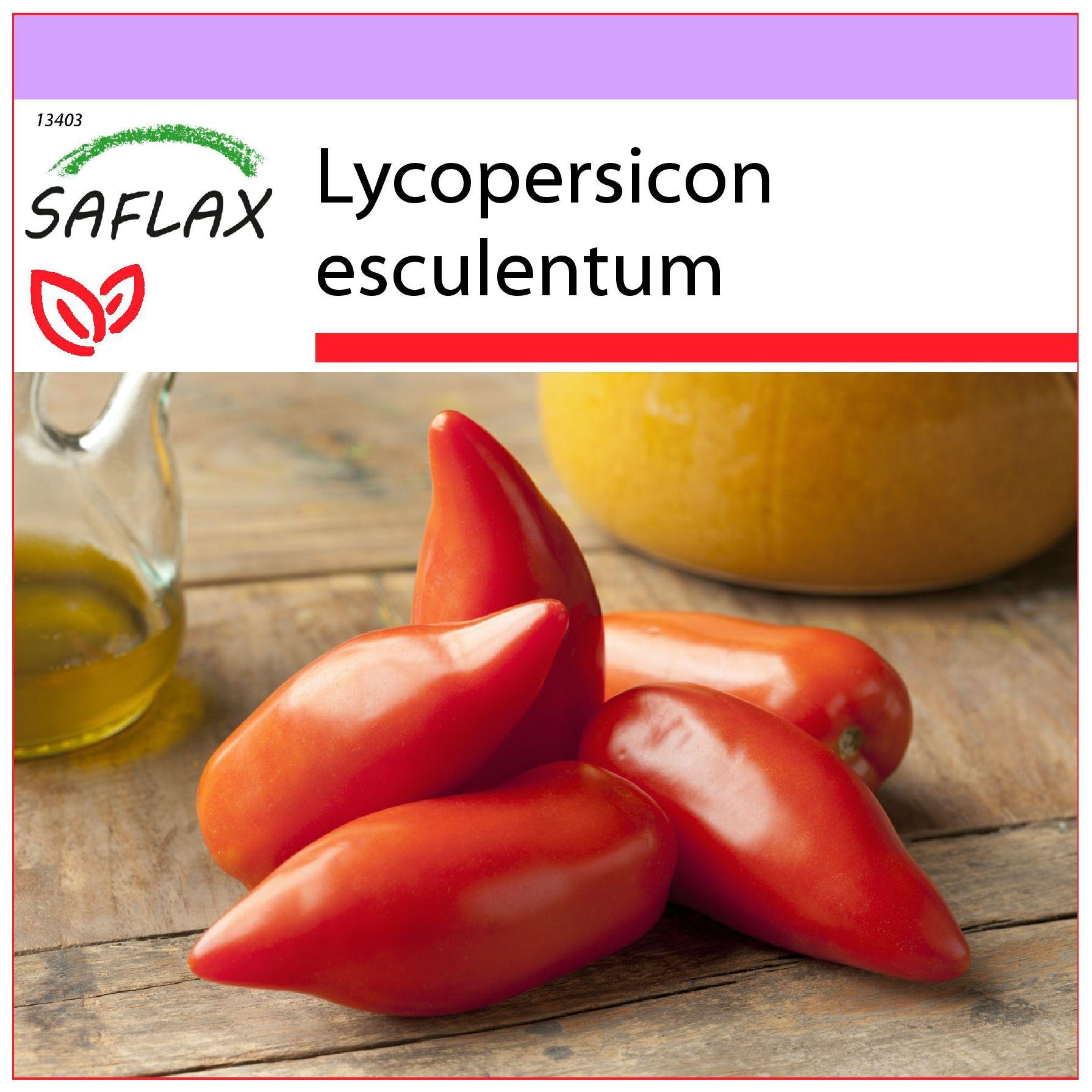 SAFLAX - Tomate - Cornue des Andes - 10 Samen - Lycopersicon esculentum