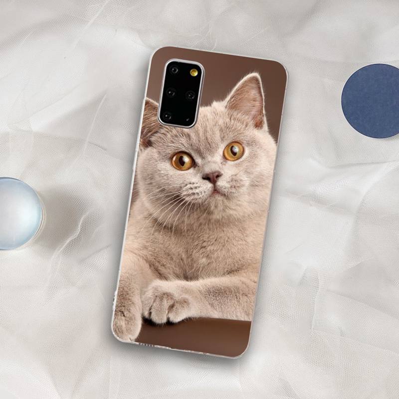 Britisch Kurzhaar Katze Handyhülle für Samsung S21 A10 für Redmi Note 7 9 für Huawei P30Pro Honor 8X 10i Hülle Samsung S21
