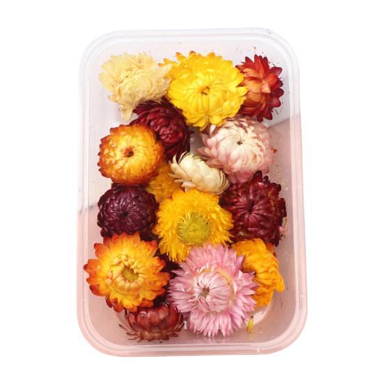 Trockenblumen-Set, echte natürliche Blumen, getrocknete Blumen in großen Mengen, DIY-Ewige Blumen, Material für handgefertigten Schmuck, Nägel, Basteln
