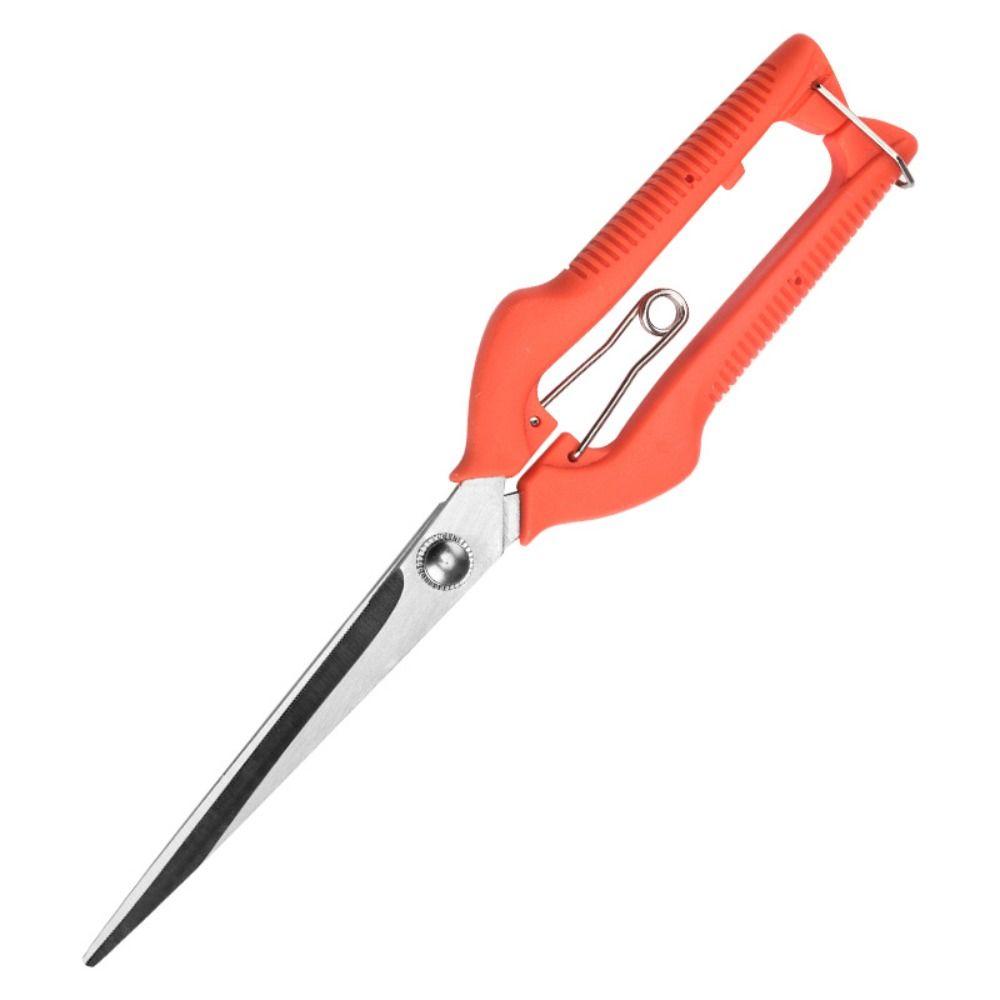 Professionelle Gartenschere Edelstahl Bonsaischere Tragbare Obstpflückschere Handwerkzeuge Gartengeräte 1pc gelb