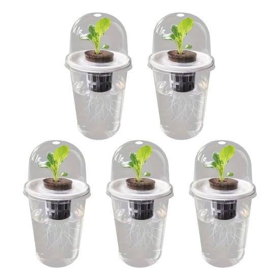 1/2/3/5/6/8/10 Stück Hydroponische Pflanzen Anzuchttasse mit Haube Transparenter Pflanzen Keimtopf Gartenbau Anzuchtpflanzen Startbehälter 5pcs
