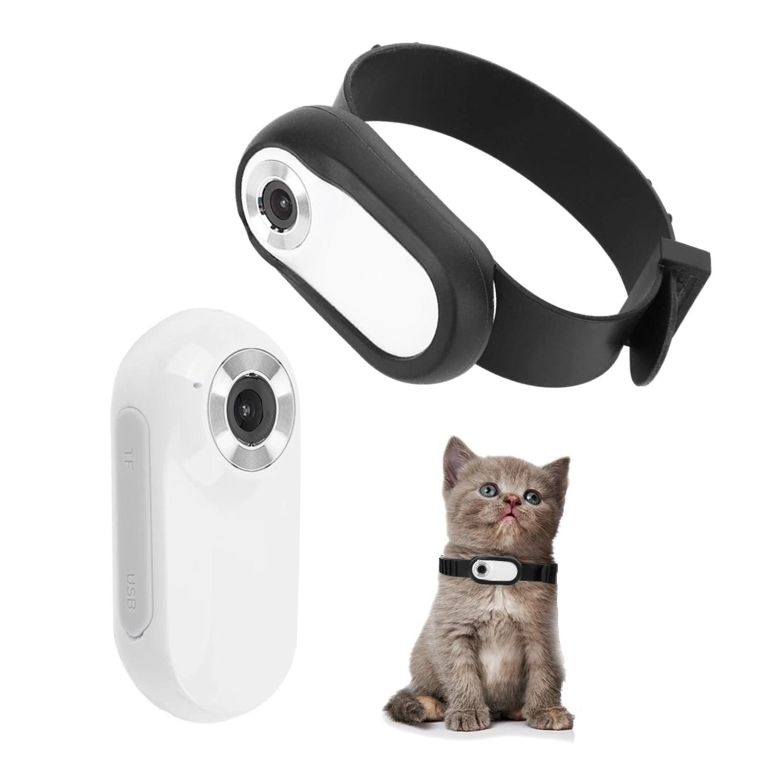 1080P Haustierkamera Halsband Katzenhalsband Kamera 90 Grad Weitwinkel Hundehalsband Kamera Mini Sportkamera weiß