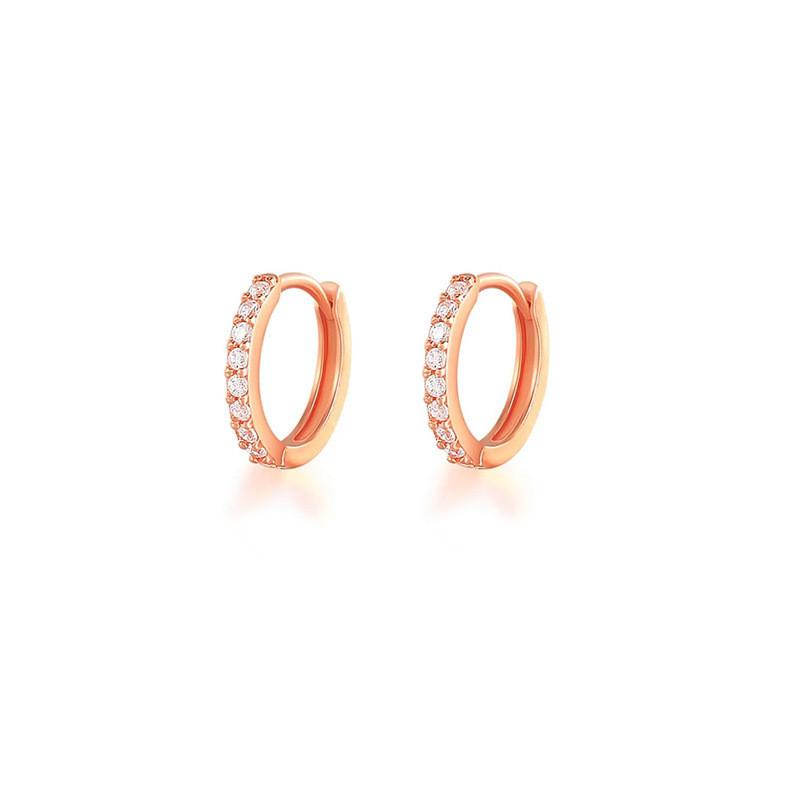 2 Stück Silber/Rose/Gold Farbe Mini Hoop Knorpel Helix Ohrring Conch Piercing Rook Snug Piercing Ohrring Nasenpiercing Ringe 6mm (2pcs) rose gold