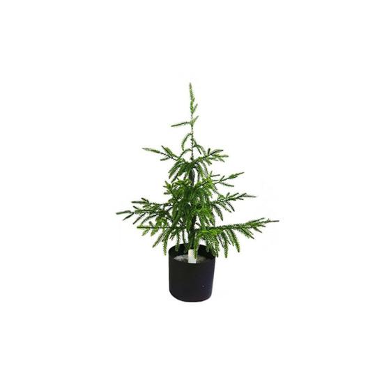 Künstliche Norfolk-Kiefer Echter Touch Faux Topf-Weihnachtsbaum für Eingangsbereich Wohnzimmer Büro Wohnung Feiertags-Innen-Außen-Dekoration S gray