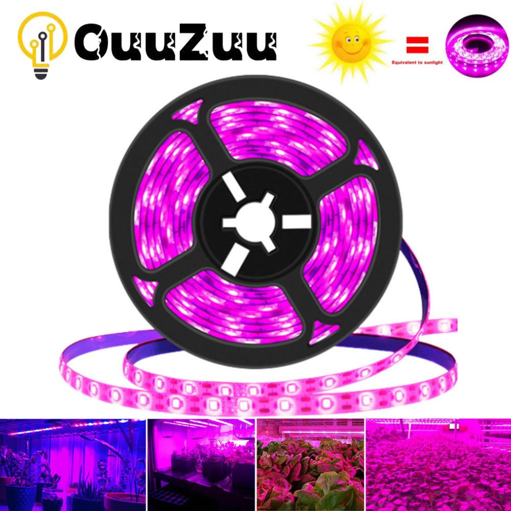 DC 5V USB LED Wachsen Lichter 1m 2m 3m Volle Spektrum Phyto Lampe Streifen Für Samen blume Gewächshaus Zelt Hydrokultur Pflanzen Beleuchtung 1M Waterproof